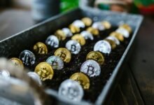 investing in tech stocks