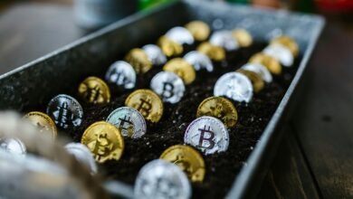 investing in tech stocks