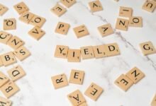 top dividend stocks today