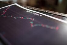 executive report on insights