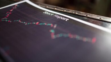 executive report on insights