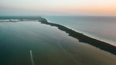 zixyurevay s safety concerns outlined