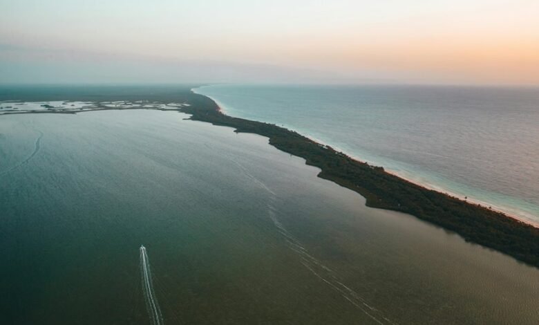 zixyurevay s safety concerns outlined