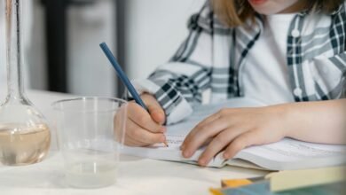 premium sector growth data