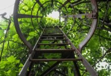 innovation in radiant flow