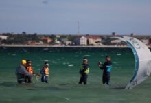 beginner s guide to tororpono
