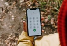 phone number and date noted