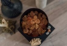 soldegicargots main ingredient guide