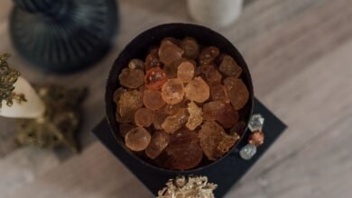 soldegicargots main ingredient guide